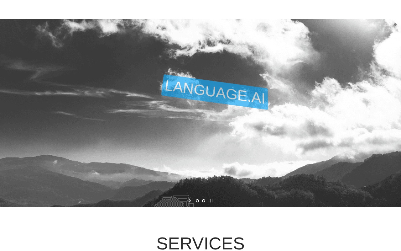 Screenshot of language.ai