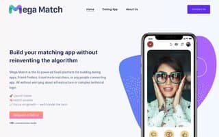 Screenshot of megamatch.ai