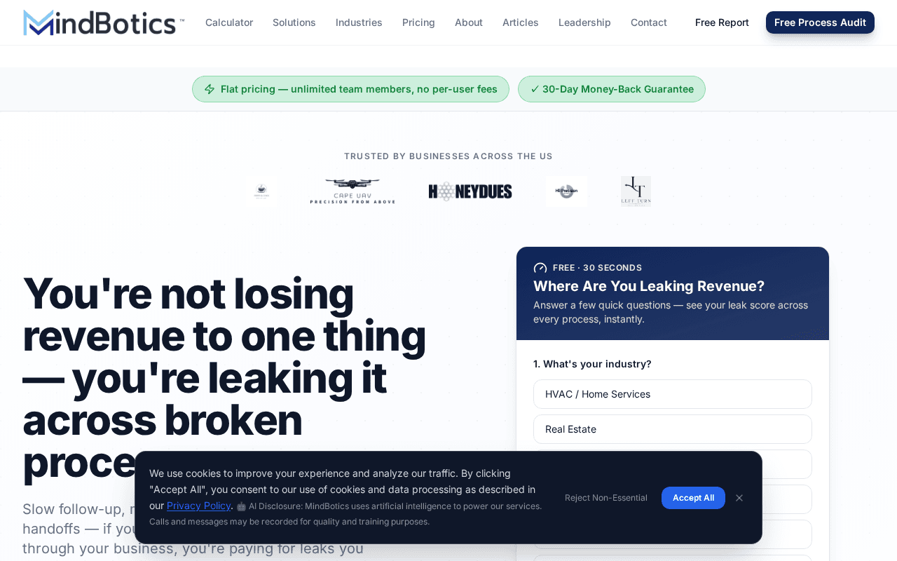 Screenshot of mindbotics.ai