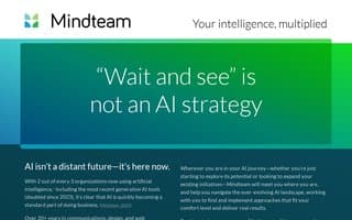 Screenshot of mindteam.ai