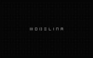 Thumbnail of modelina.ai