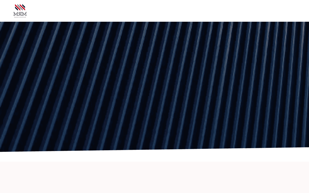 Screenshot of mrmsteel.ai