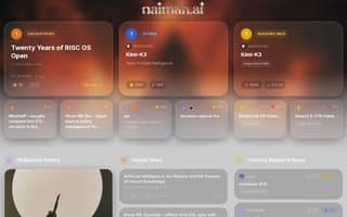 Screenshot of naiman.ai