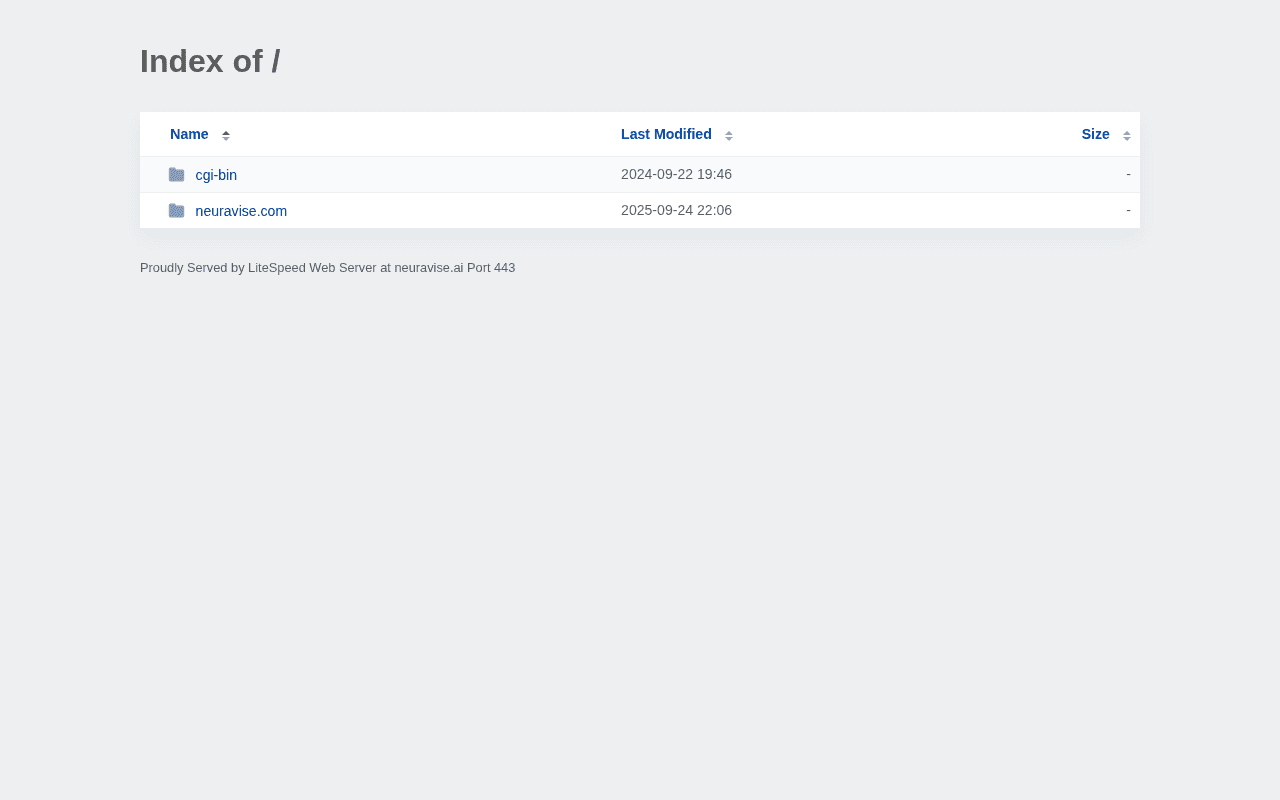 Screenshot of neuravise.ai