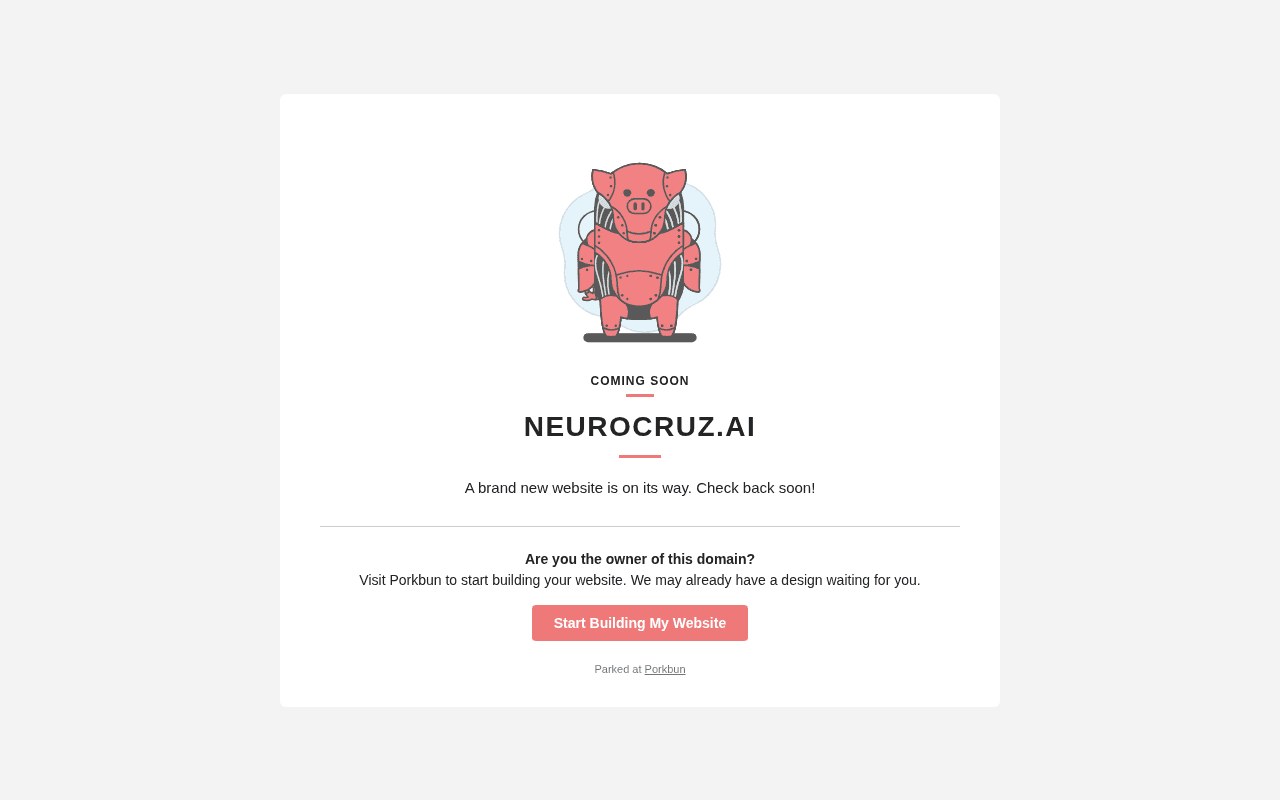 Screenshot of neurocruz.ai
