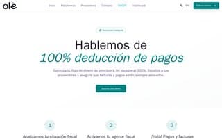 Screenshot of olepay.ai