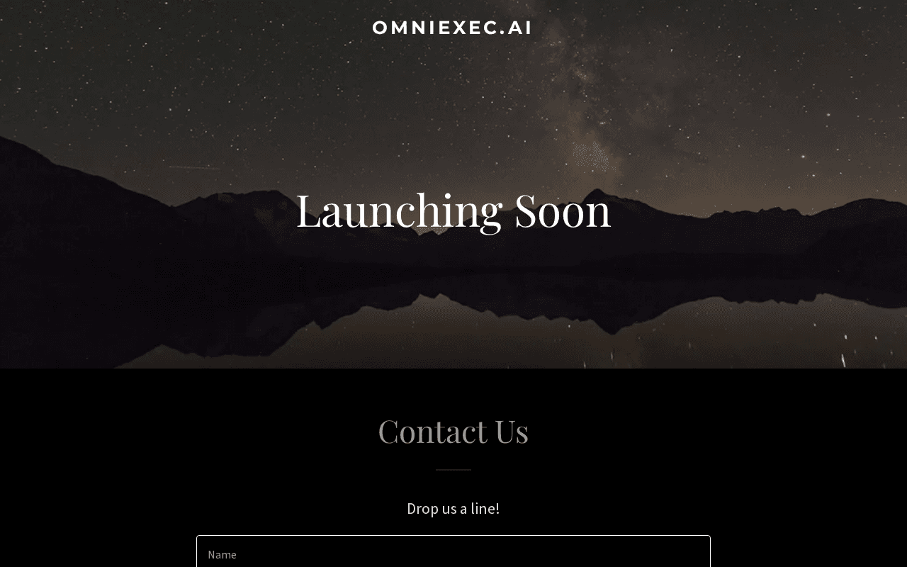 Screenshot of omniexec.ai