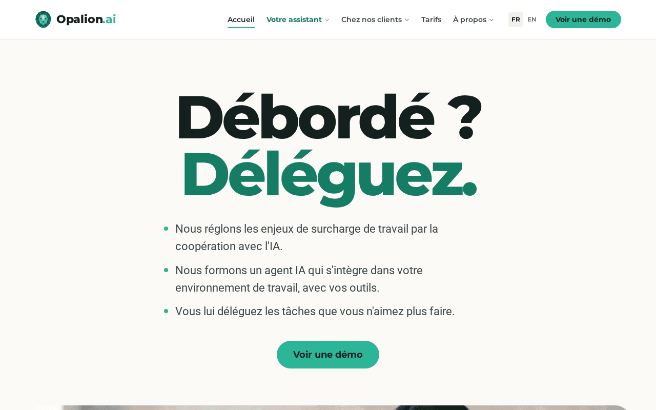Screenshot of opalion.ai