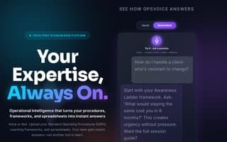 Thumbnail of opsvoice.ai