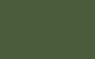 Thumbnail of oryzo.ai