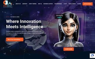 Thumbnail of owebest.ai
