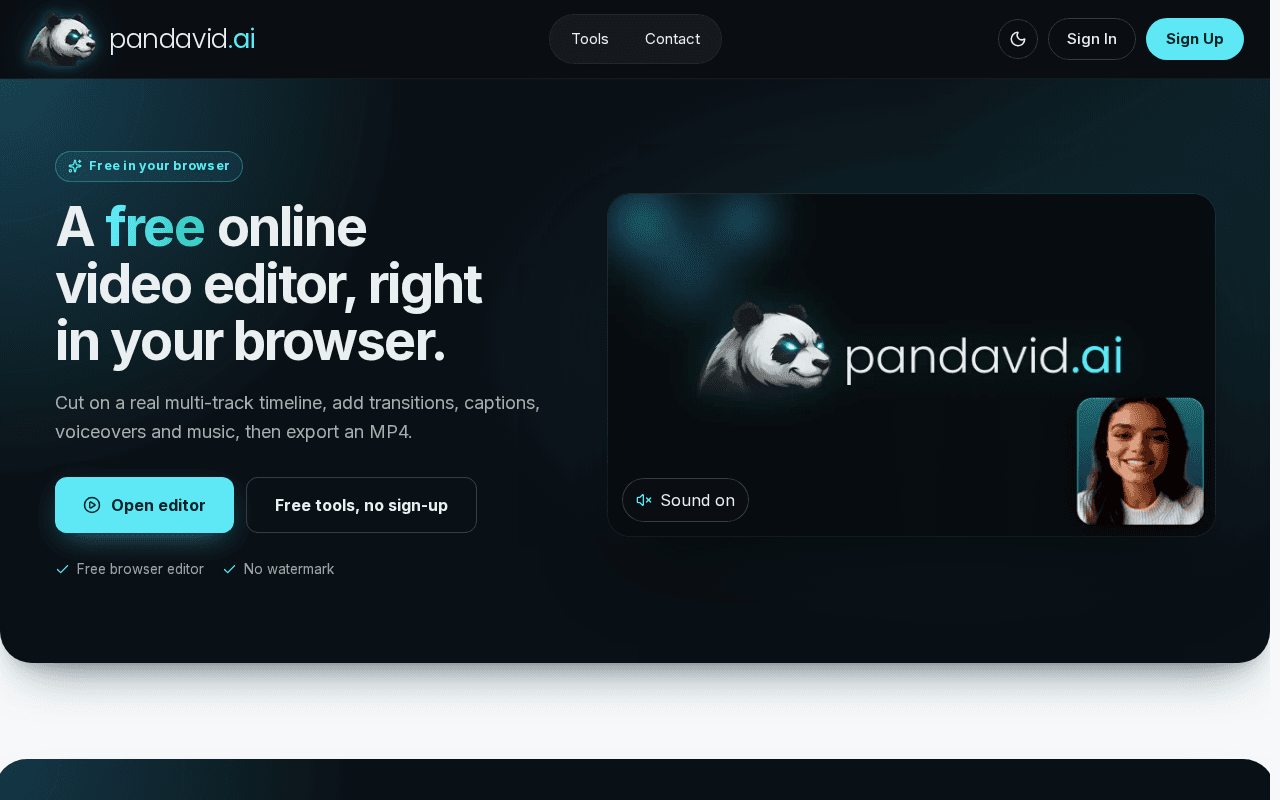 Screenshot of pandavid.ai