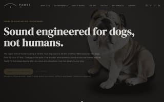 Screenshot of pawse.ai