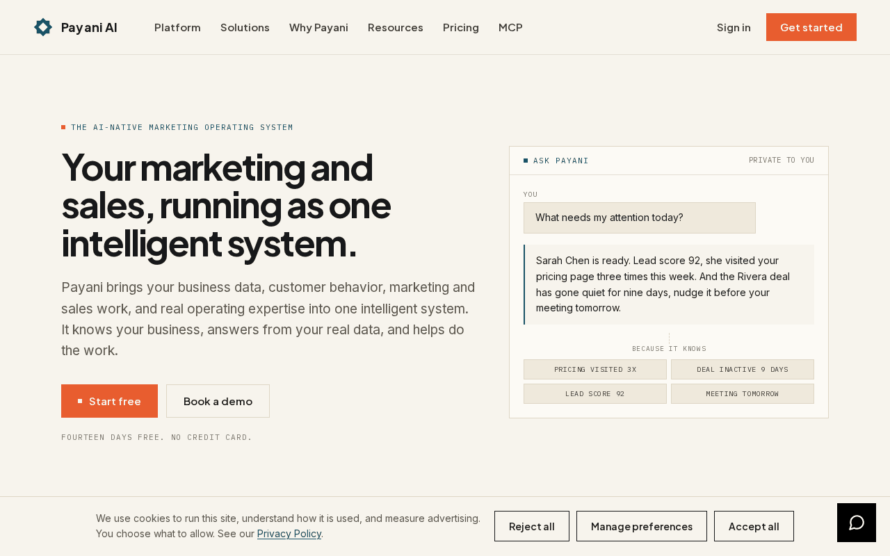 Screenshot of payani.ai