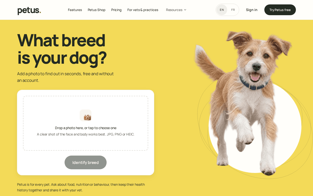 Screenshot of petus.ai
