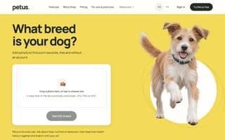 Thumbnail of petus.ai