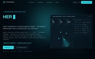 Thumbnail of pickerman.ai