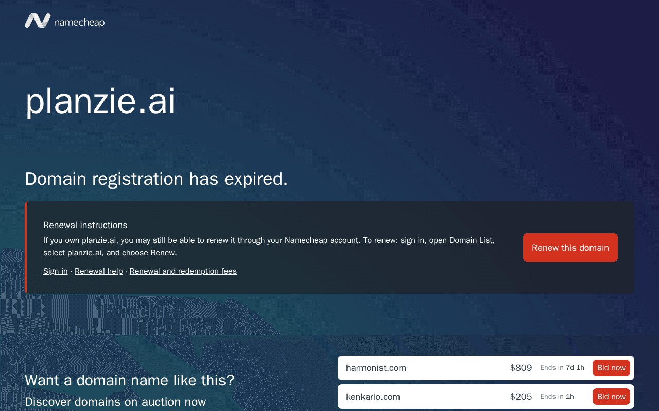 Screenshot of planzie.ai