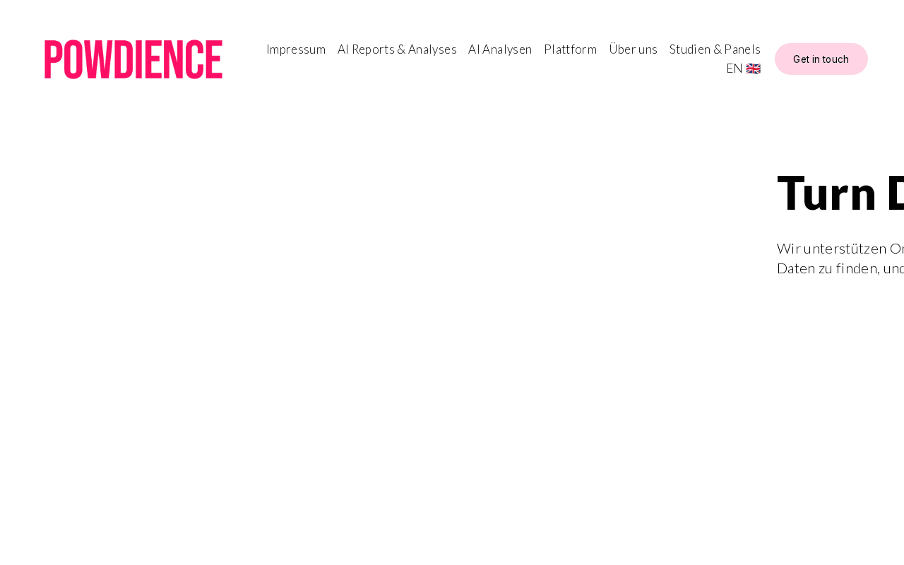 Screenshot of powdience.ai