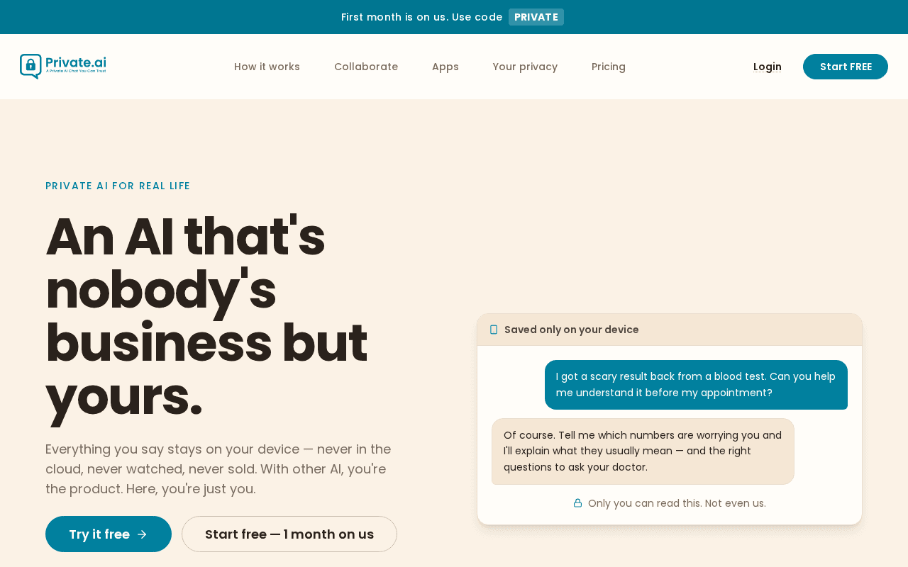 Screenshot of private.ai