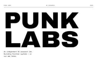 Thumbnail of punklabs.ai