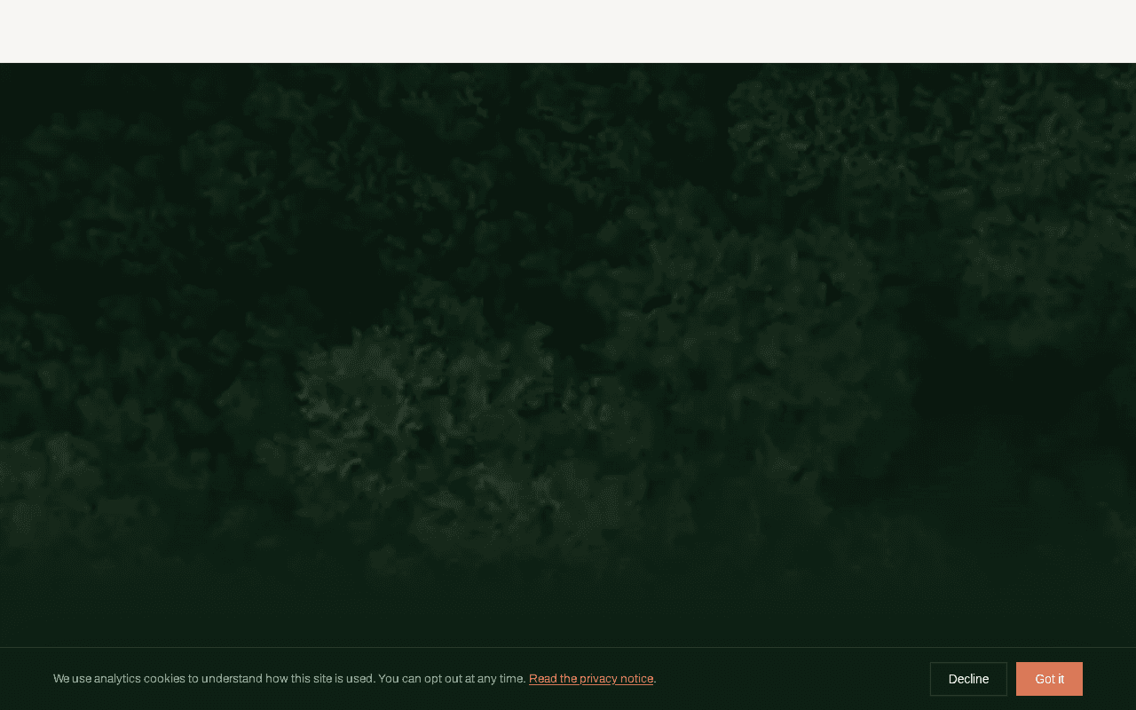 Screenshot of quarri.ai