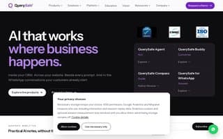 Thumbnail of querysafe.ai