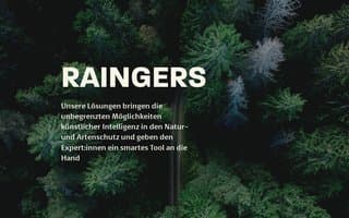 Screenshot of raingers.ai