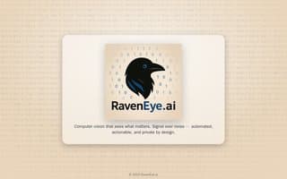Screenshot of raveneye.ai