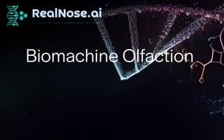 Thumbnail of realnose.ai