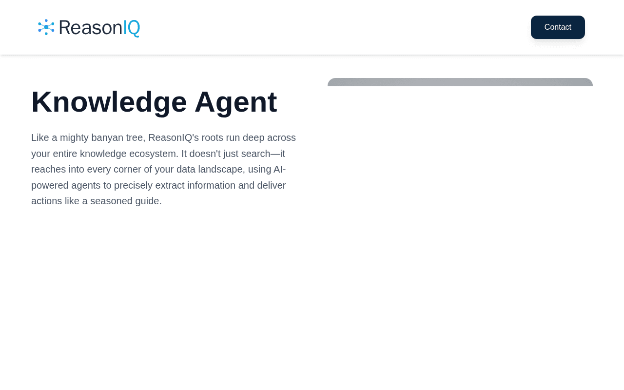 Screenshot of reasoniq.ai