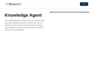 Thumbnail of reasoniq.ai