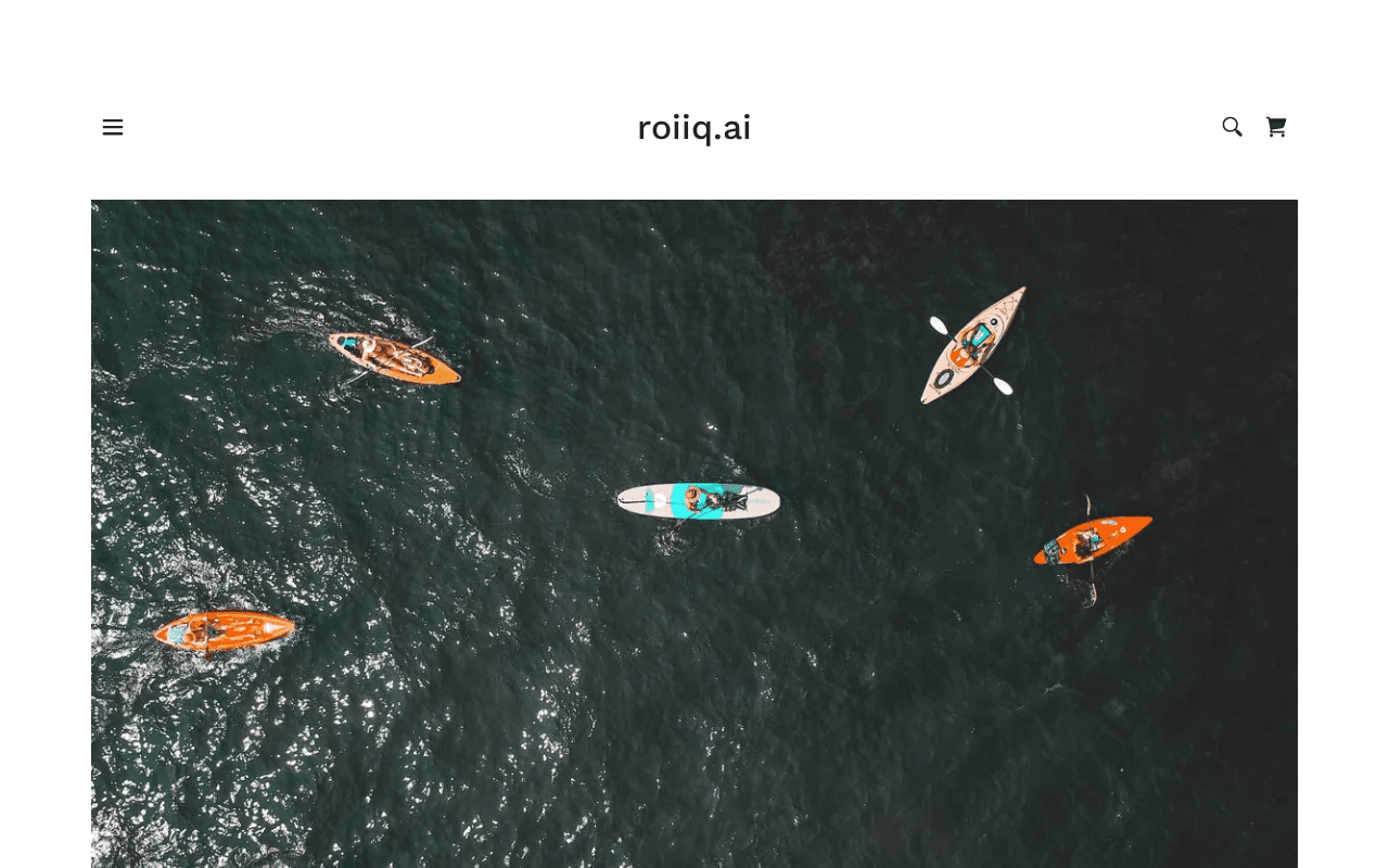 Screenshot of roiiq.ai