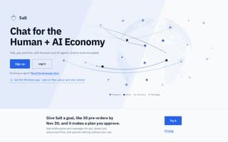 Thumbnail of saltapp.ai