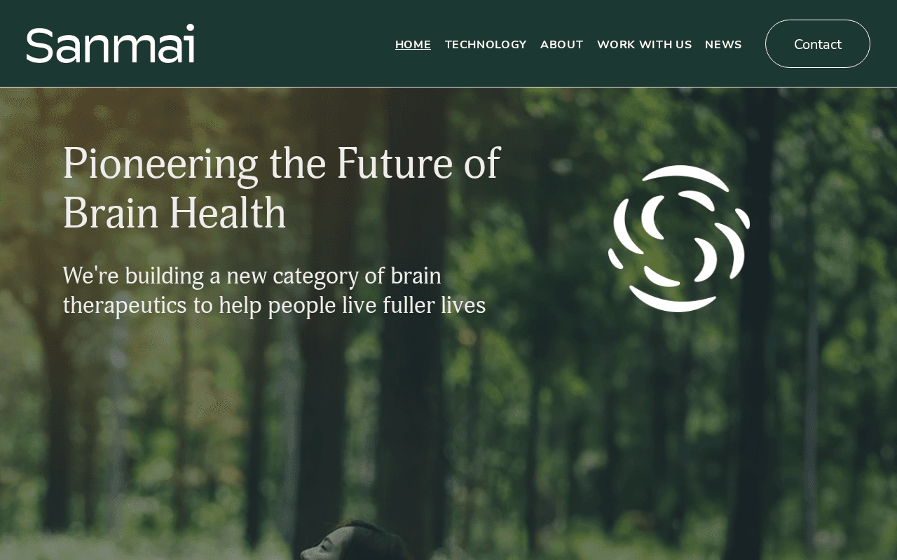 Screenshot of sanm.ai