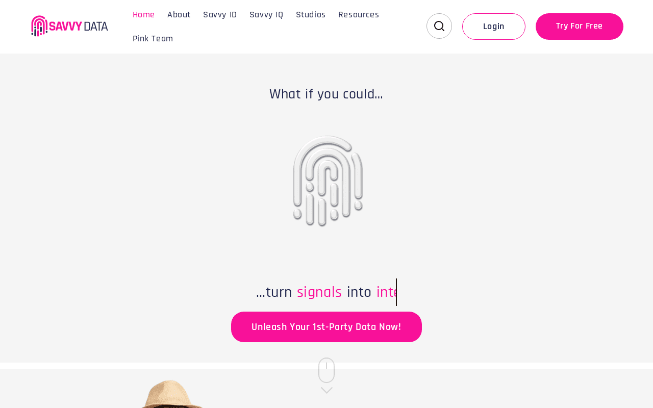 Screenshot of savvydata.ai