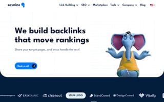 Screenshot of saynine.ai