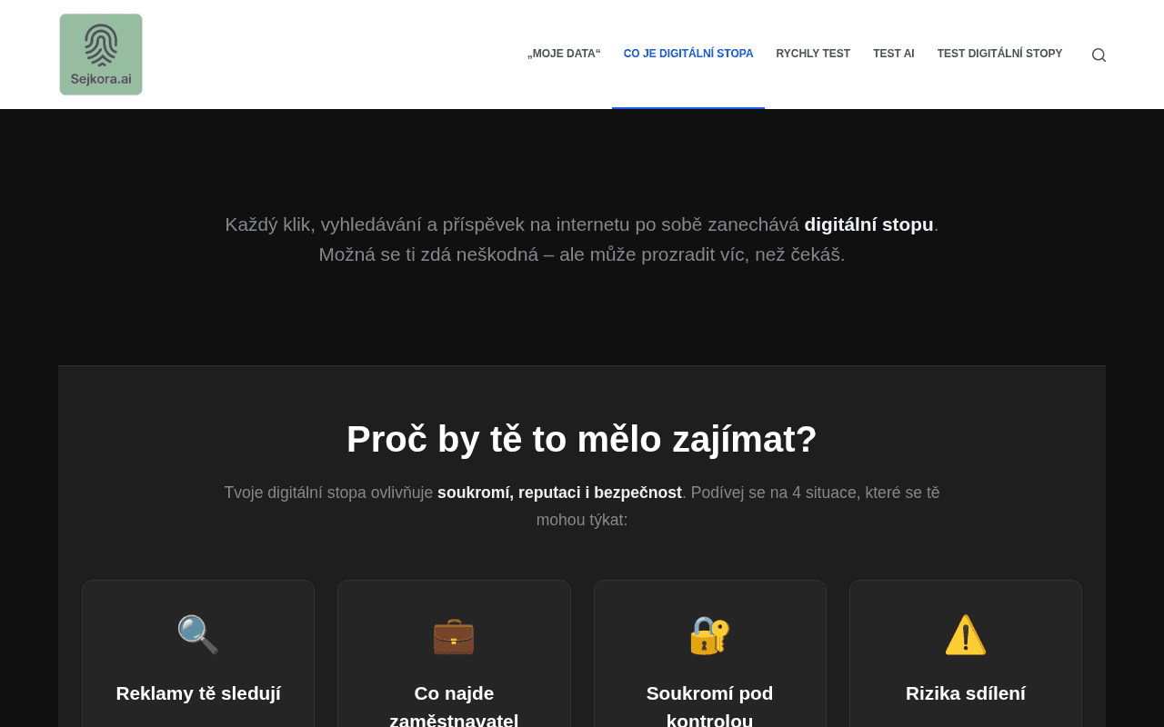 Screenshot of sejkora.ai