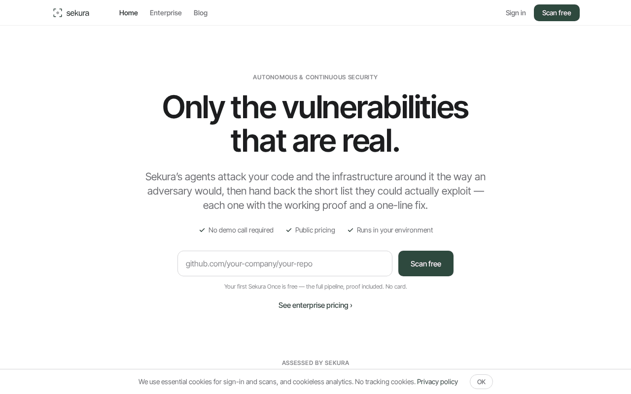 Screenshot of sekura.ai