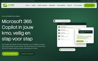 Screenshot of serso.ai
