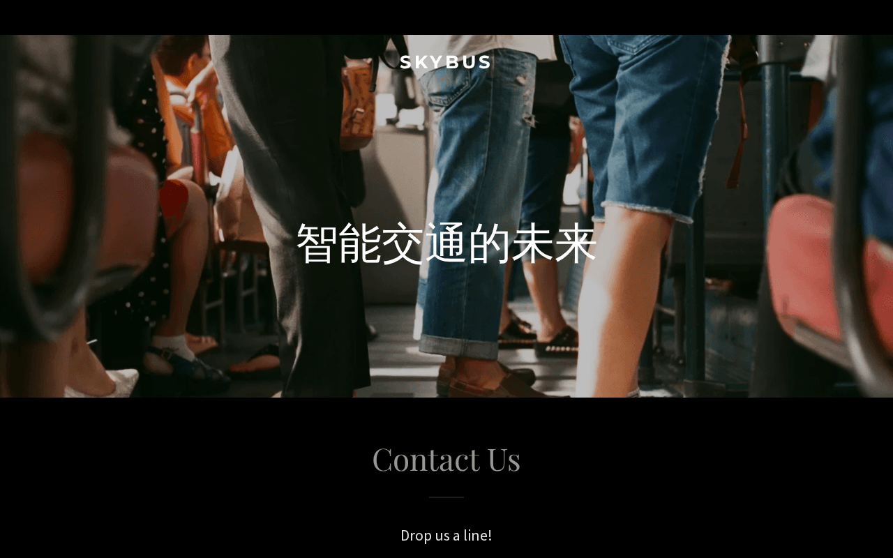 Screenshot of skybus.ai