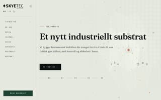 Screenshot of skyetec.ai