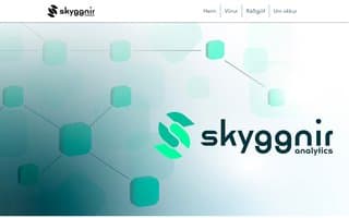 Screenshot of skyggnir.ai
