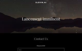 Screenshot of slevin.ai