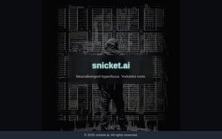 Screenshot of snicket.ai