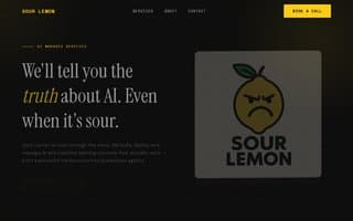 Screenshot of sourlemon.ai