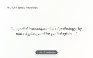 Screenshot of spatho.ai