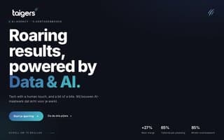 Screenshot of taigers.ai