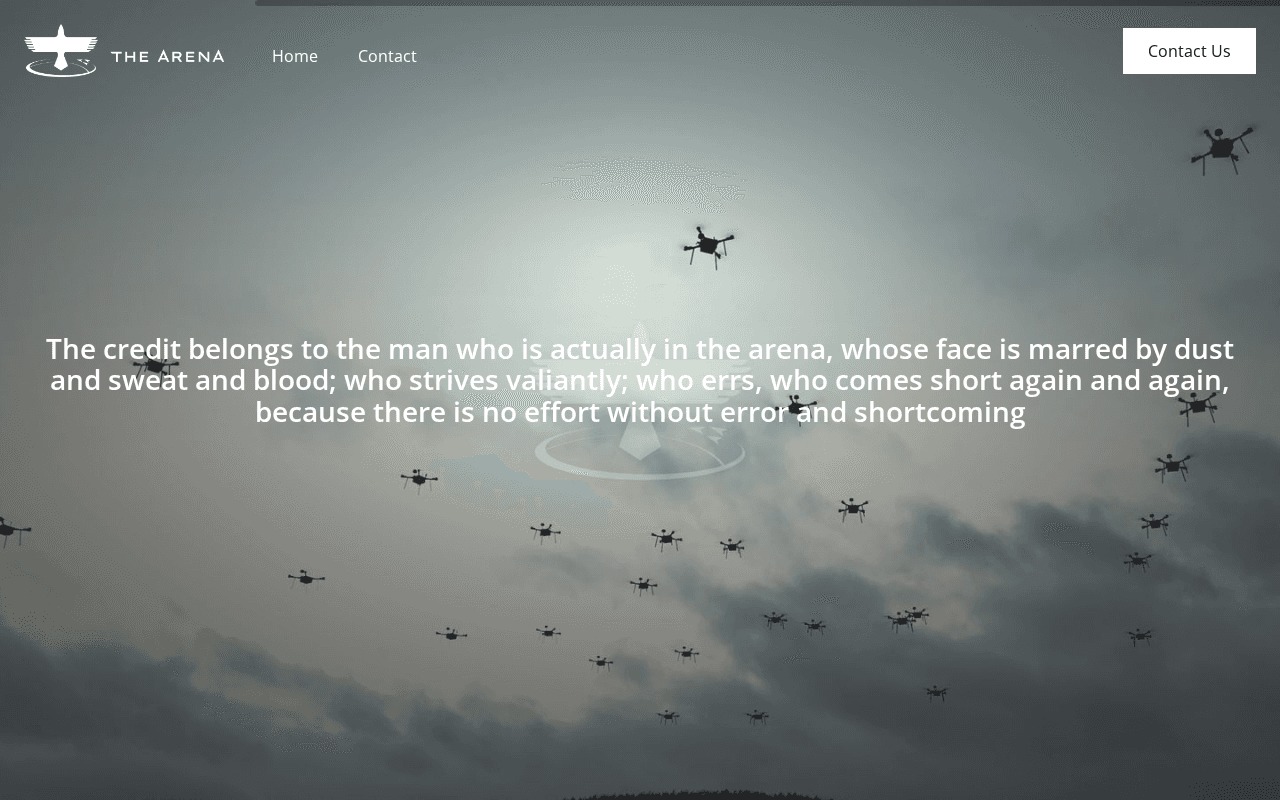 Screenshot of the-arena.ai