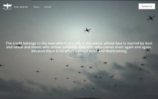 Screenshot of the-arena.ai